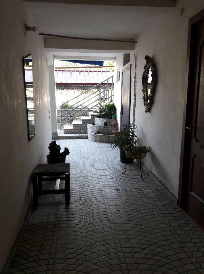 Guest House Kobuleti #788 Zewnętrze zdjęcie